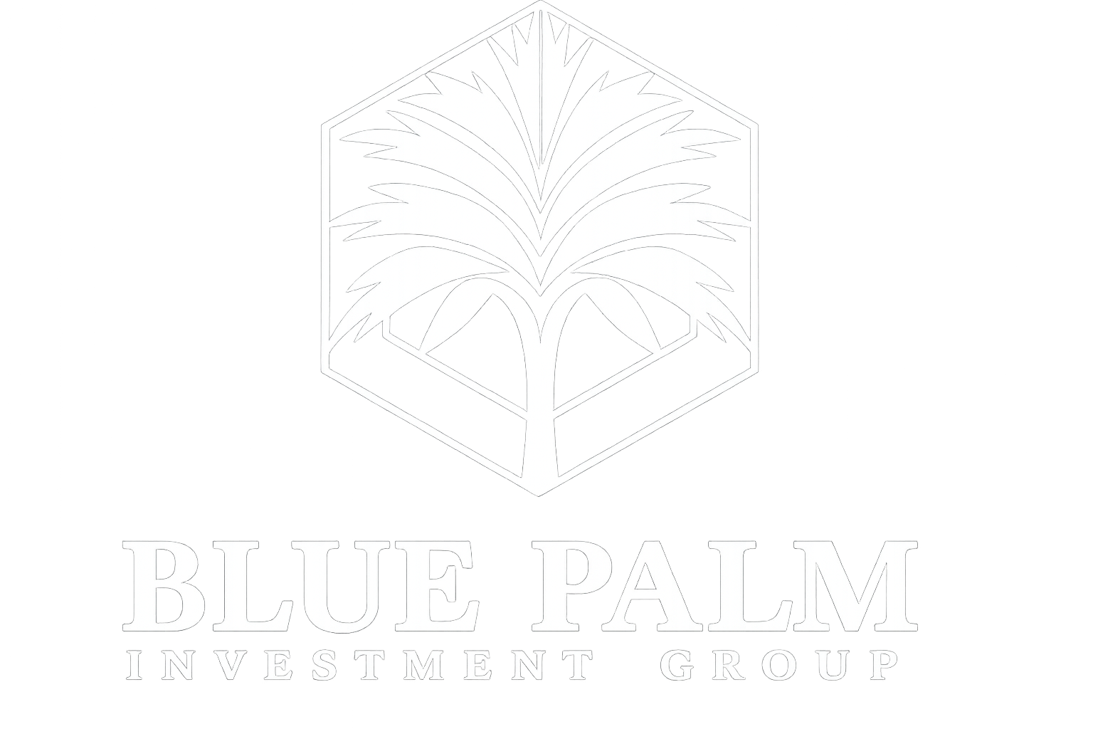 Blue Palm Investment Group